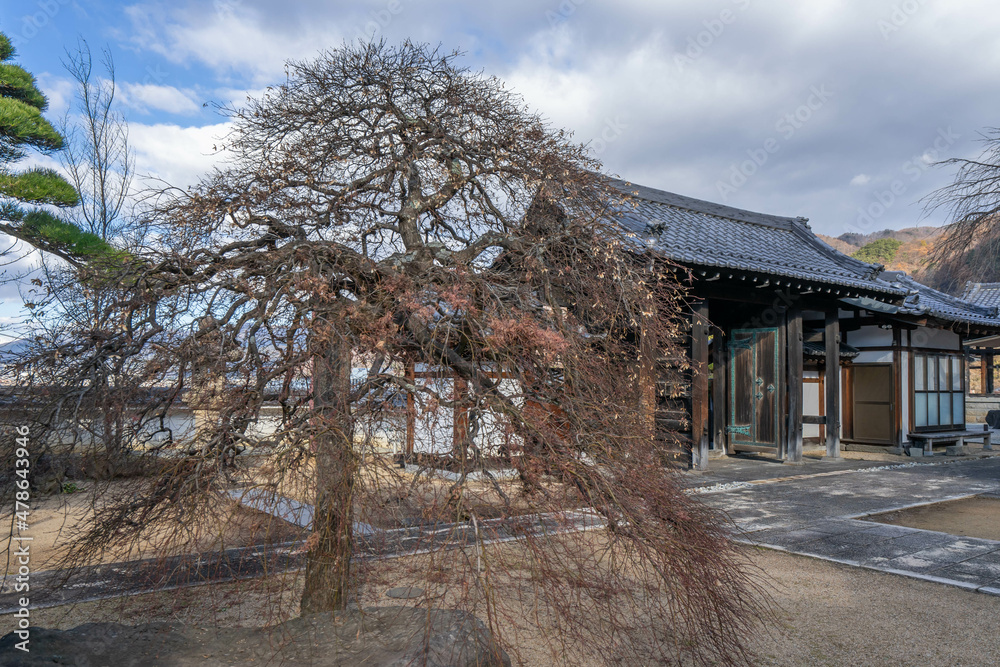 温泉寺 温泉寺
