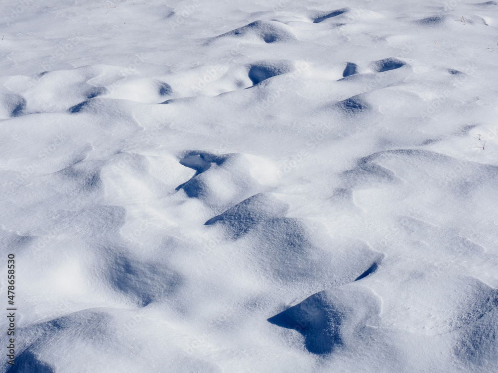 雪原のうねり 雪原のうねり