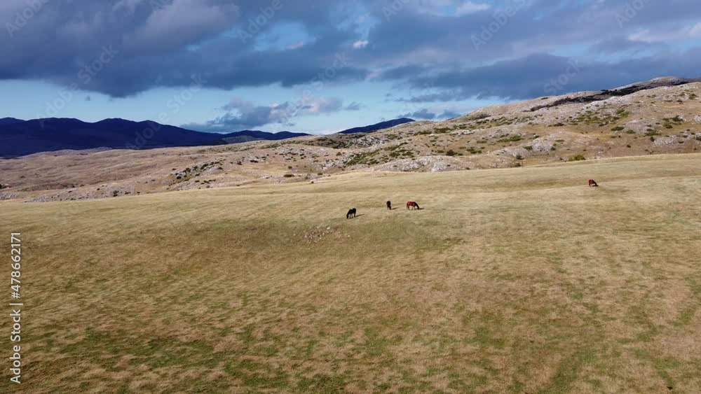 Aerial view of mountain pastures with horses. Grey clouds in the sky. Shot in Durmitor - national park of Montenegro.
