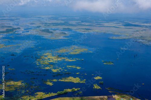 Swamps and Wetlands in West Berbice  Guyana © Overflightstock