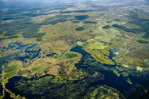 Swamps and Wetlands in West Berbice Guyana