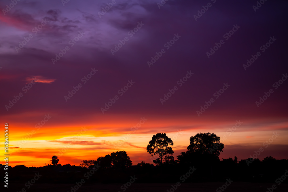 Evening sunnes sky pastel gradient with shadow tree in night. Evening sunnes sky pastel gradient with shadow tree in night.