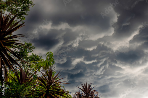 The storm is coming. Storm clouds above the tree. Heavy torrential rain. Rainfall flash flooding . Metorology weather forecast. Low pressure area. La Nina climate