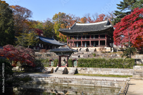 Photography Changdeokgung Palace in Seoul, Korea