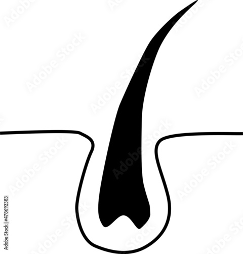 毛穴から生える毛のイメージ