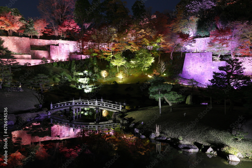 ライトアップされた日本の庭の風景