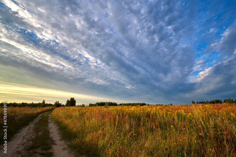 A field with road in summer evening. A field with road in summer evening.