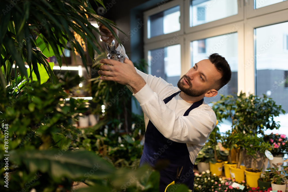 male botanist caring for potted plants in the garden center