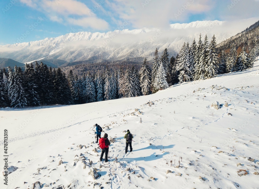 Man hiker with backpack trekking in mountains. Winter sport activity snow mountain hills. Winter hiking cold weather with backpack on snow trail forest in Carpathian evergreen coniferous trees