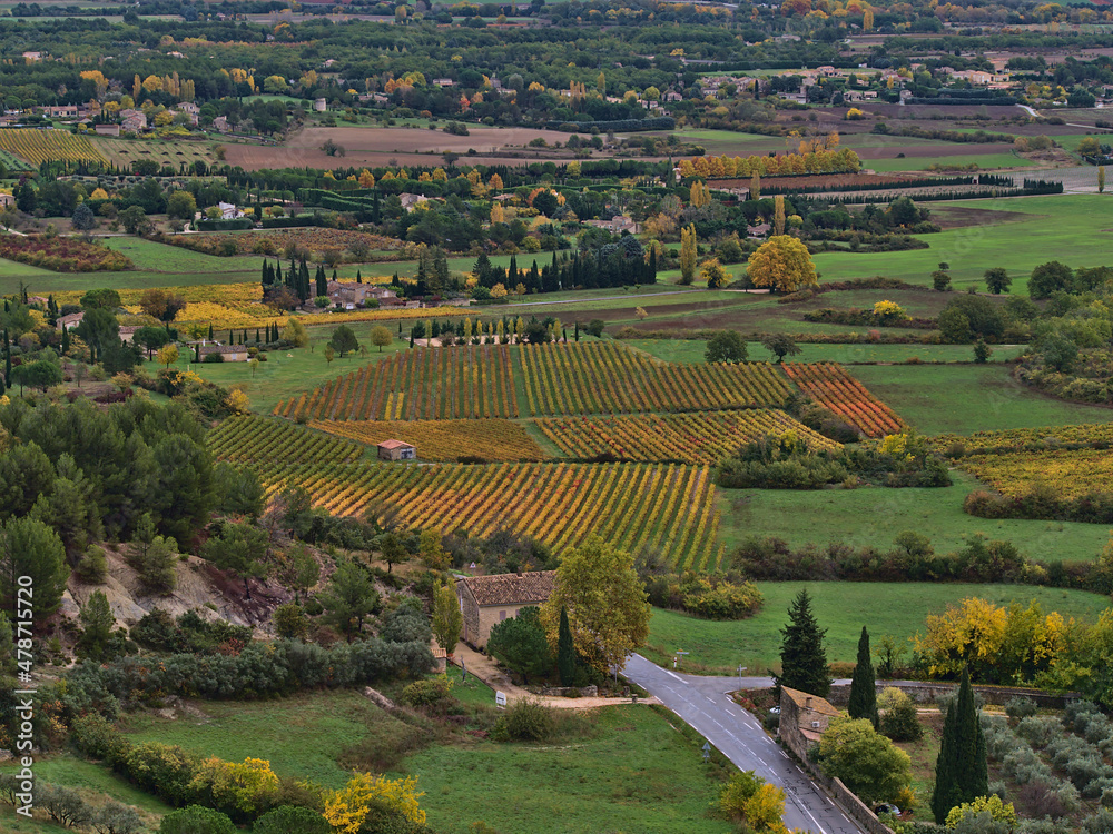 Naklejka premium High angle view of rural Luberon valley near village Gordes in Provence region, France with beautiful vineyard of colorful leaves surrounded by trees.