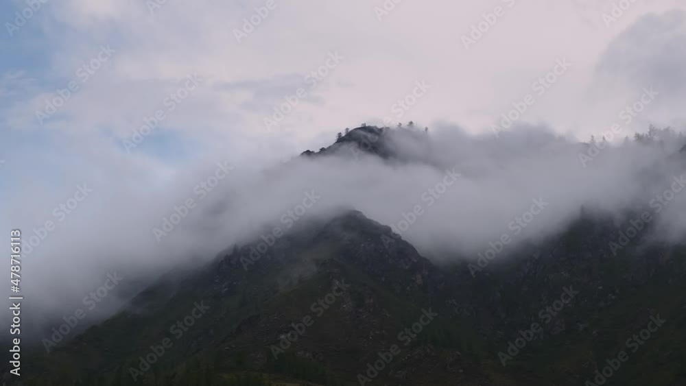 Rainy weather in mountains. Misty fog blowing over pine tree forest. Footage of spruce forest trees on the mountain hills at misty day. Rainy weather in mountains. Misty fog blowing over pine tree forest. Footage of spruce forest trees on the mountain hills at misty day.