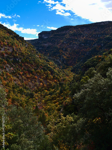Beautiful view of steep canyon Gorges de la Nesque with rugged limestone rocks in the Vaucluse Mountains in Provence region, France on sunny day.