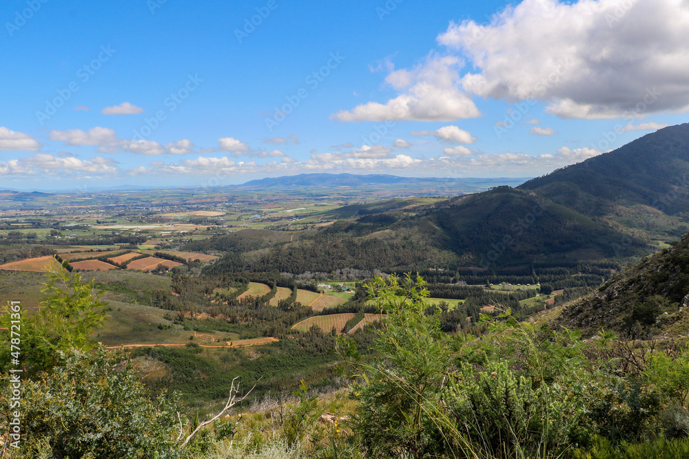 landscape scenery of the western cape with mountains and agriculture
