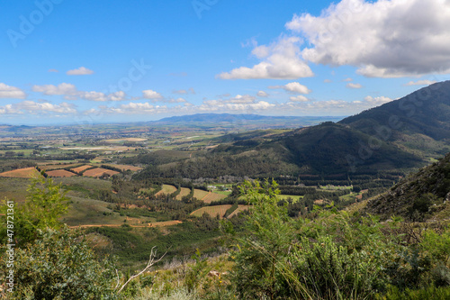 landscape scenery of the western cape with mountains and agriculture