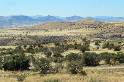 drive through the scenic countryside of mountain zebra national park in the eastern cape south africa © Antje