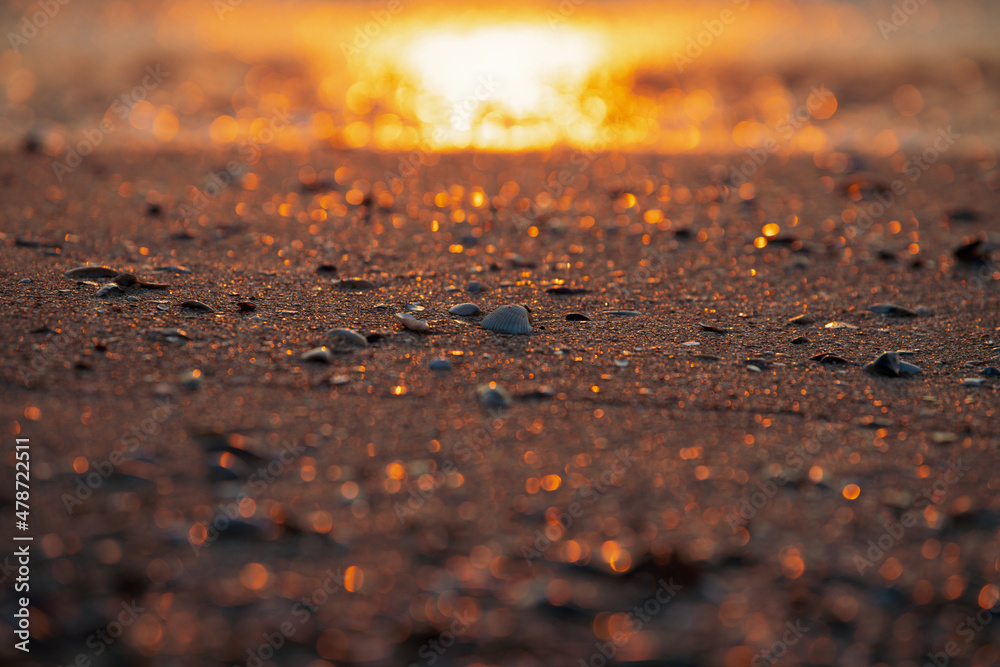 Sunrise at the sea shore. View from the sand line with water and shells in foreground. Amazing color landscape.