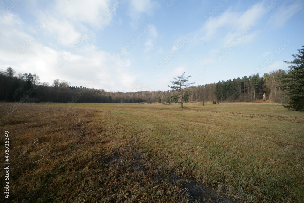 Fototapeta premium Landschaft bei Tannau