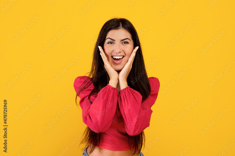 Wow offer. Amazed armenian woman with open mouth touching her cheeks with hands over yellow background Wow offer. Amazed armenian woman with open mouth touching her cheeks with hands over yellow background
