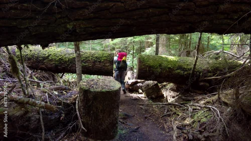 Hiking under a log on the Bedwell Trail, Vancouver Island Hiking under a log on the Bedwell Trail, Vancouver Island