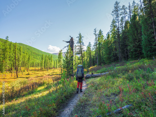 Hiking on the ecotrope. Solo hiking in the picturesque autumn mountain forest. Heavy climb in the mountains with a big backpack.Travel lifestyle, hiking hard track, concept in autumn vacation.