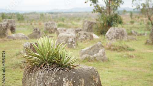 The Plain of Jars in Central Laos.