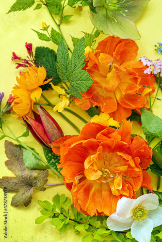 Wallpaper Mural spring flowers and leaves on the yellow background Torontodigital.ca