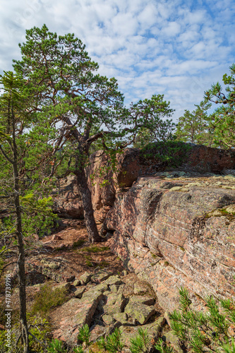 Pine trees and cliff at Geta in Åland Islands, Finland, on a sunny day in the summer.