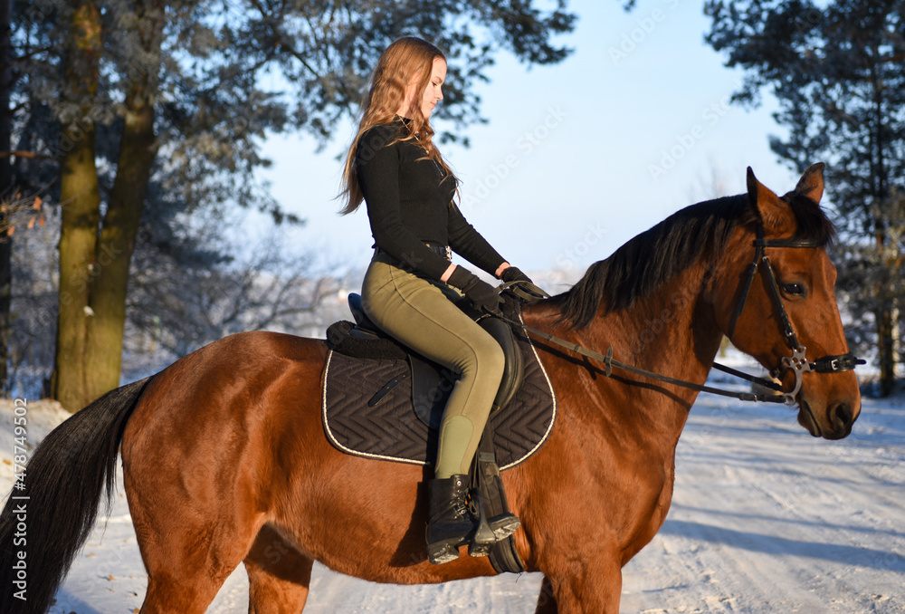 Young girl with horse on winter forest road Young girl with horse on winter forest road
