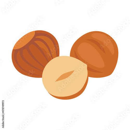 Hazelnut full in shell and open nut. Nut hazel healthy food harvesting. Natural filbert food. Vector illustration