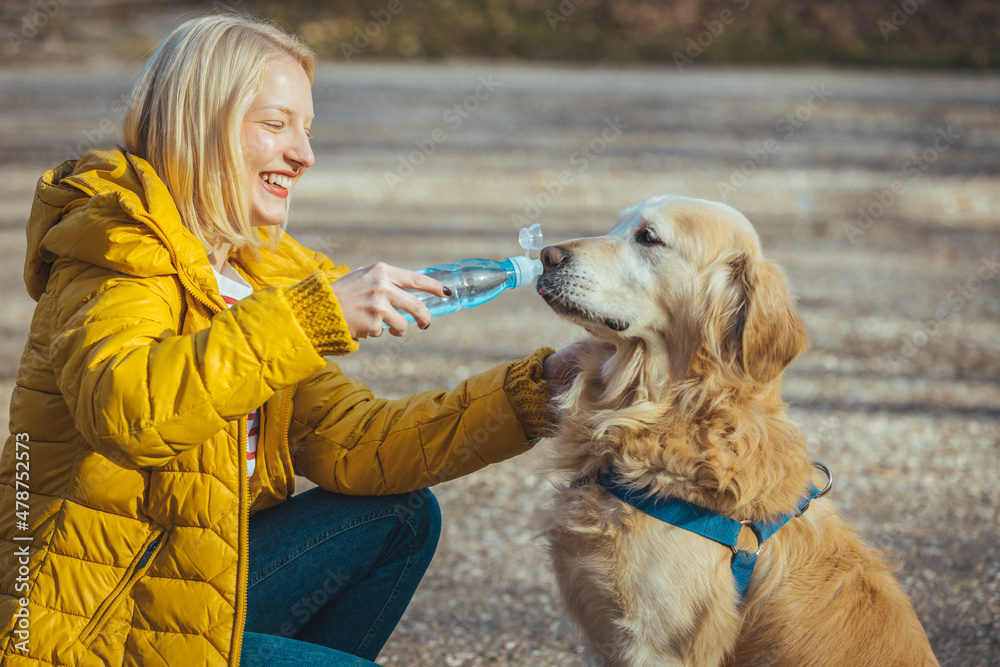 Dog drinking water from bottle. Dog drinking water from bottle in
