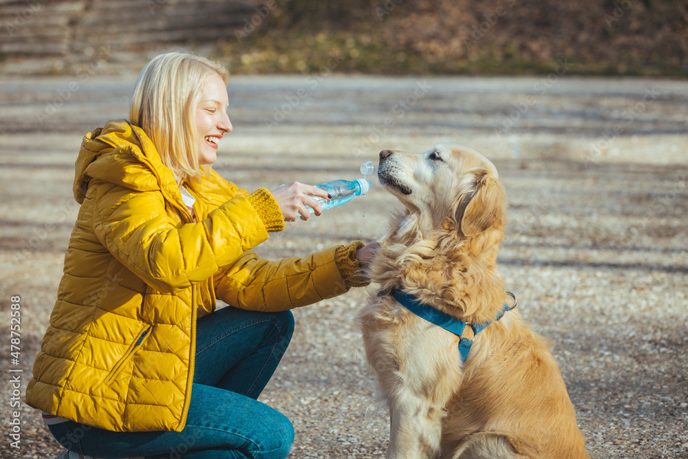 Dog drinking water from bottle. Dog drinking water from bottle in