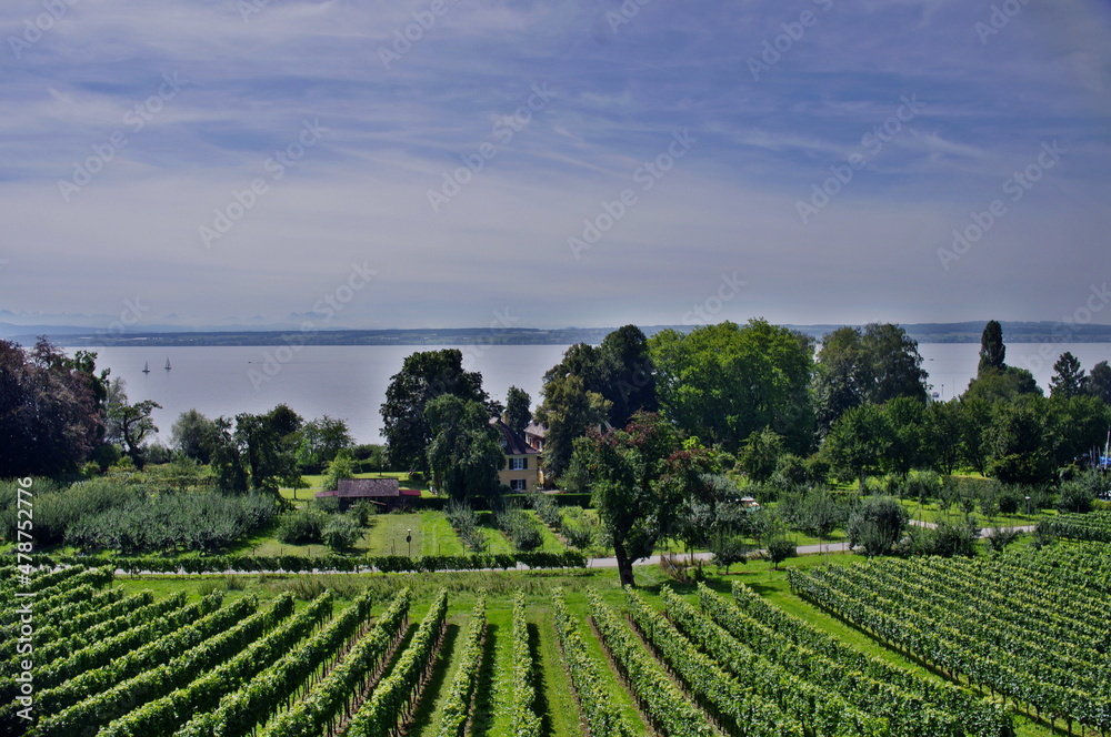 Bodensee bei Hergatz