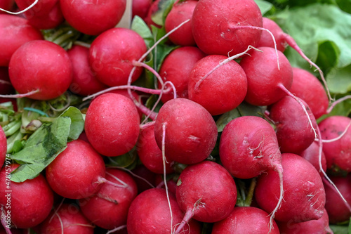 Fresh radish for sale at vegetable market, close up. Boxes full of raw delicious radish in shop. Organic radish at the greengrocer's stall. Vegetable. Salad.