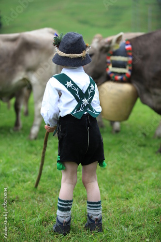 Almabtrieb Viehscheid im Allgäu photo