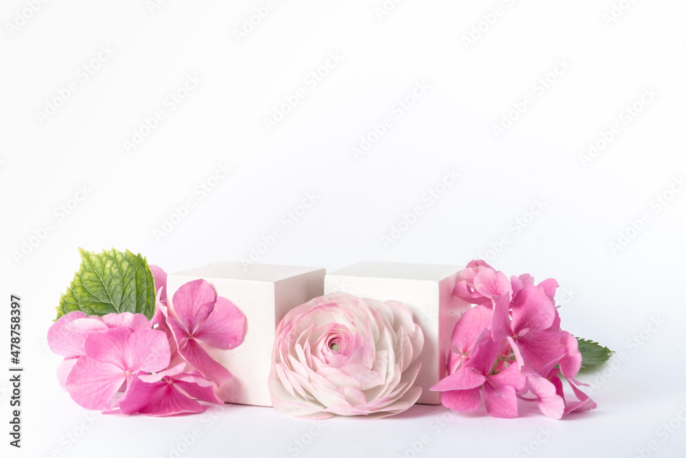 Fototapeta premium pink rose and gift box