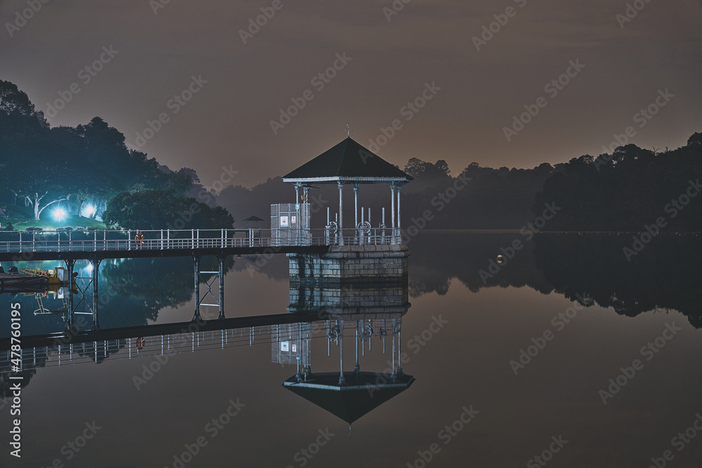 Fototapeta premium Macritchie Reservoir