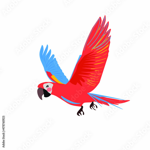 vector parrot in a flat and cartoon style on a white background, vector illustration of a bird