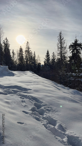 Widok na zasypaną śniegiem polanę w górach © michalsen