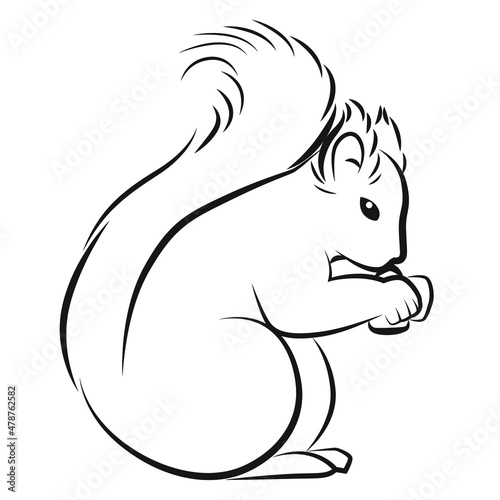 Cute squirrel with fluffy tail eating nut clipart. Vector illustration