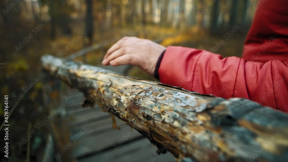 Woman wearing warm puffy jacket walks on wooden path with branch railing in dense national park lit by bright sunset light closeup slow motion Woman wearing warm puffy jacket walks on wooden path with branch railing in dense national park lit by bright sunset light closeup slow motion