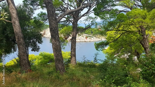 blue türkise turcuoise water beach sea side rocks croatia boats sky pine trees © annaboo80