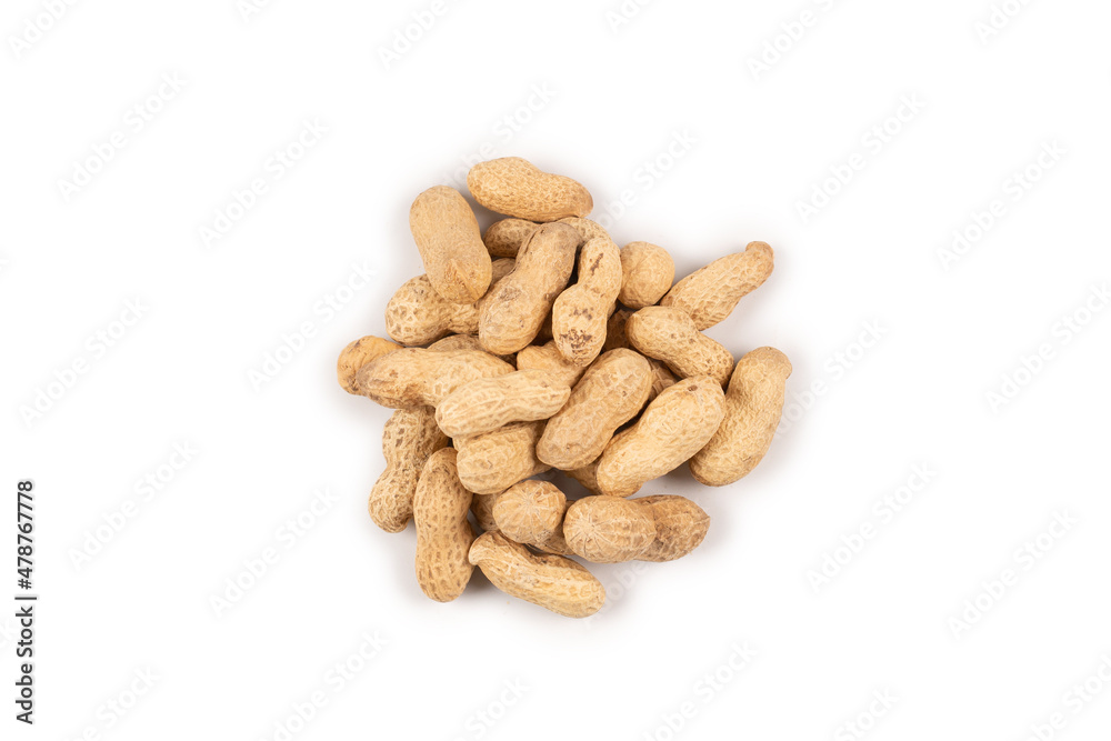 Group of Arachis isolated on a white. Group of Arachis isolated on a white.