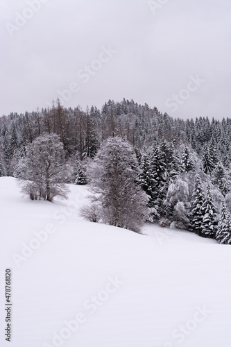 Natur / Winter