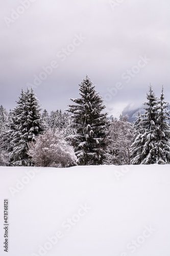 Natur / Winter © Petra Fischer