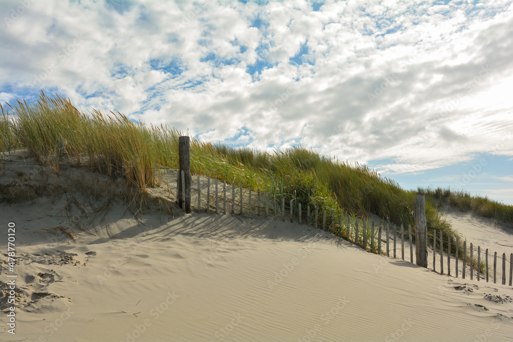 Sand dune with beach grass and a wooden fence