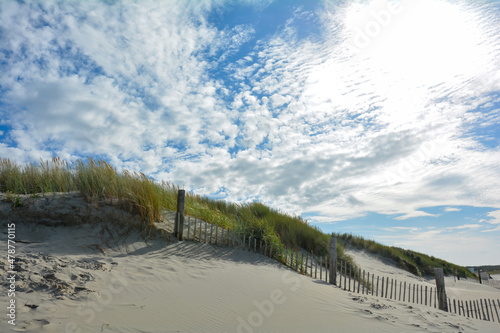 Sand dune with beach grass and a wooden fence and a lot of sky