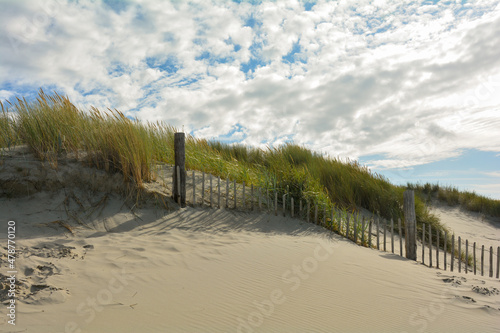 Sand dune with beach grass and a wooden fence