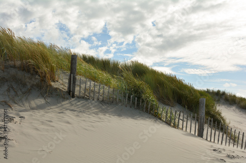 Sand dune with a wooden fence