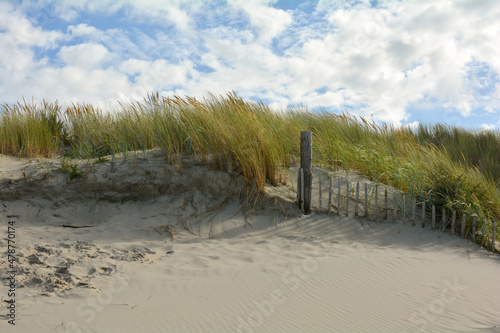 Sand dune with beach grass and part of a wooden fence