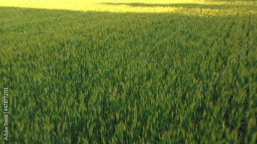 Hills, meadows and fields. Seasons of Friuli photo